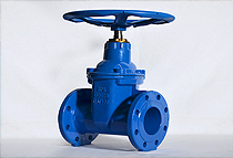 Gate Valve